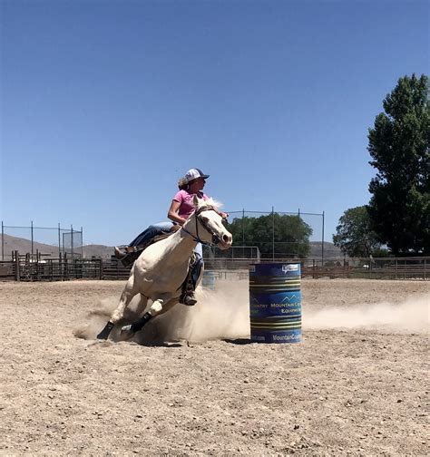 Barrel racing lessons near me - MB Sport Horses - Barrel Racing Programs, Riding Lessons, Horse Clinics, and Personal Development workshops with The Rewilding Project! ... Take a look around to learn more about Michaela Berlie and the Equine Programs we offer. ... We offer clinics focused on groundwork to advanced barrel racing and everything in …